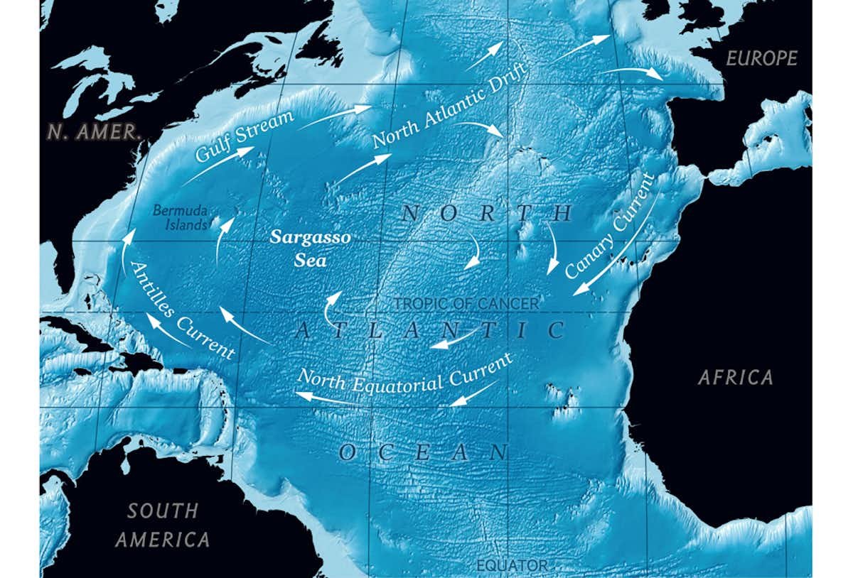 Саргассово море интересные факты