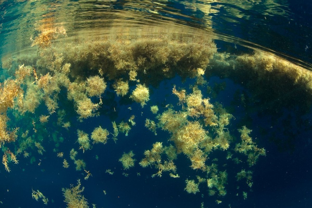 Карибское море закат