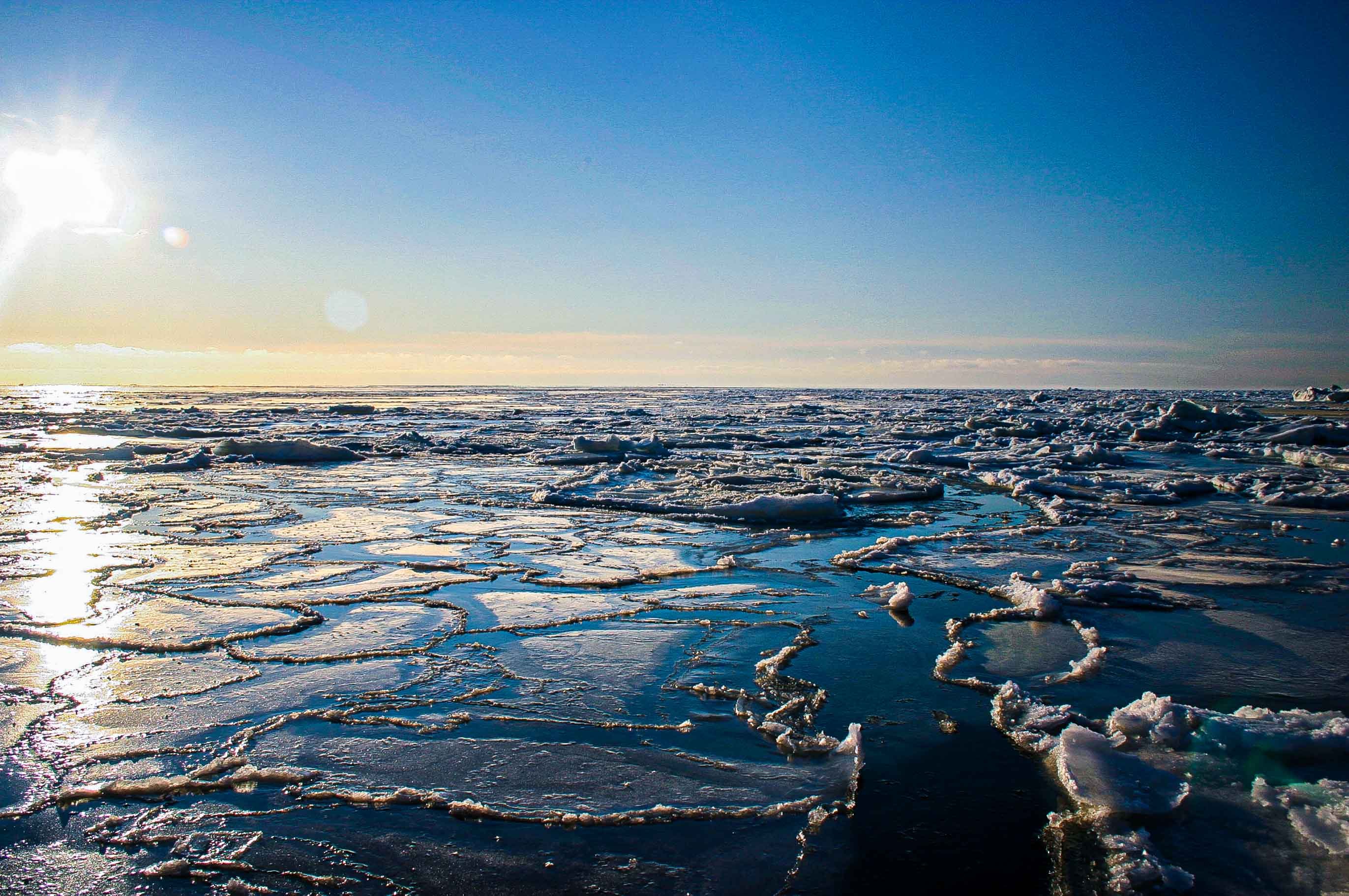 обская губа карского моря