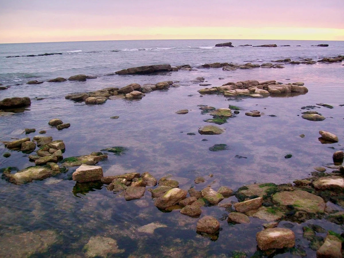 Вода в море дагестан. Северное побережье Каспийского моря. Каспийское море Каспий. Обмеление Каспийского моря. Каспийское море Анапа.