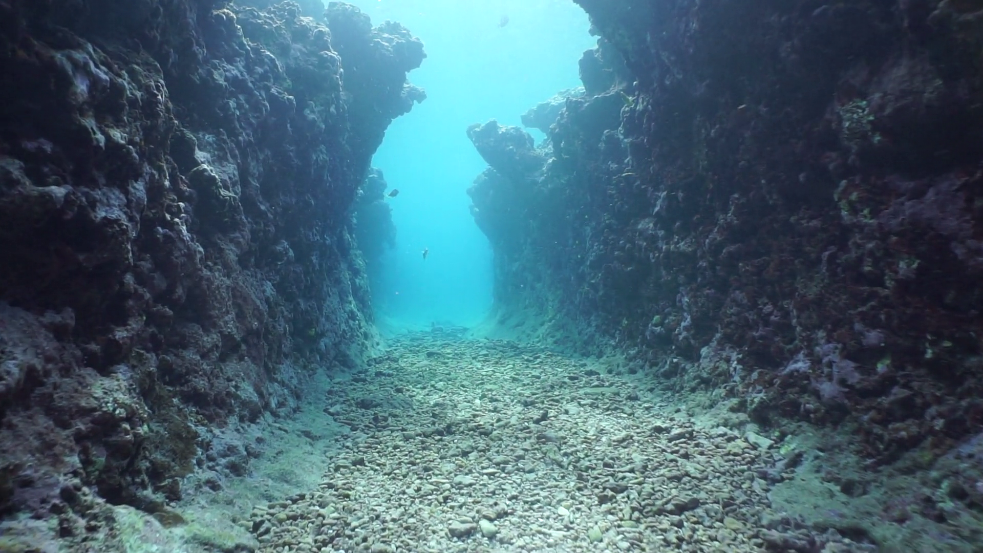 Вода на глубине 70 метров. Дно Тихого океана Марианский желоб. Тихий океан Марианская впадина дно. Подводный рельеф Марианской впадины. Подводные скалы.