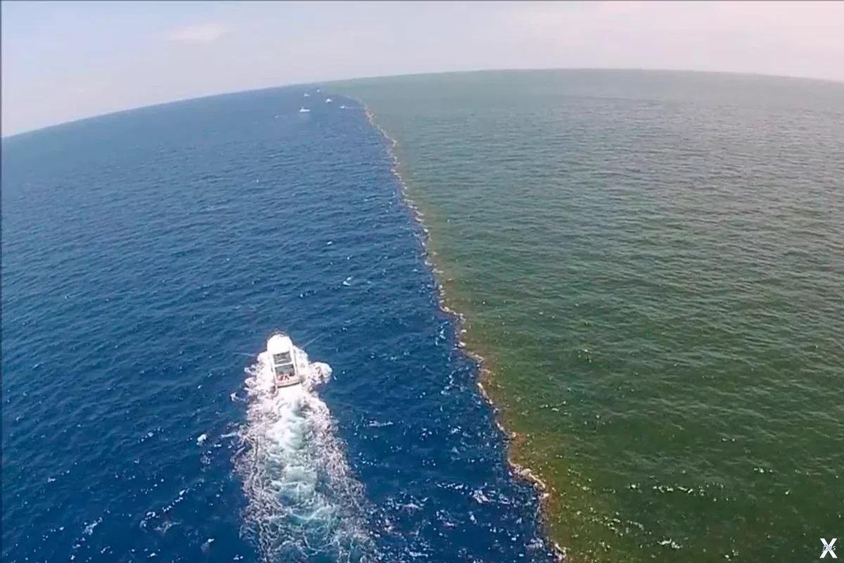 Скаген Дания два моря