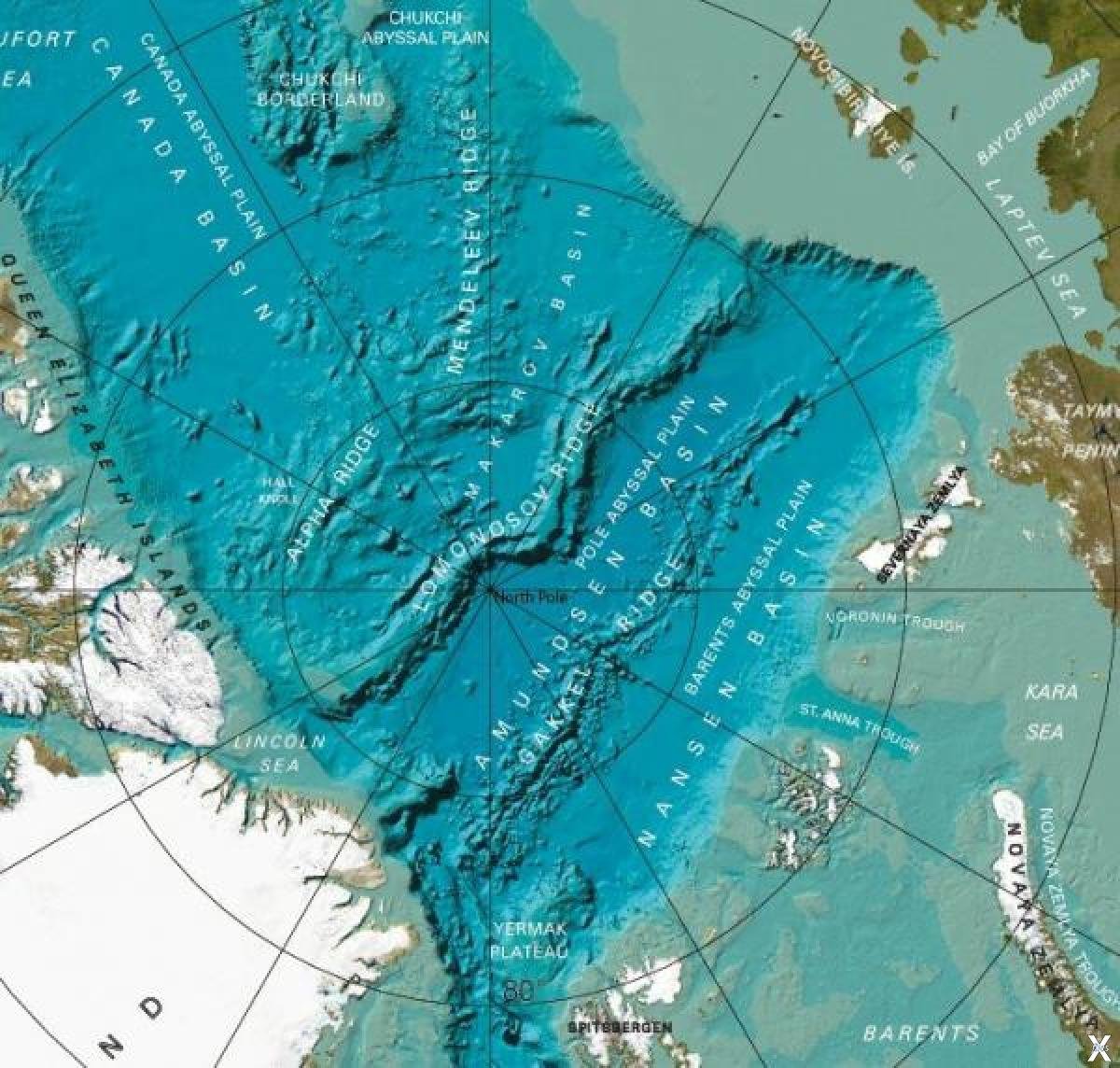 Рельеф Дна Северного Ледовитого Океана