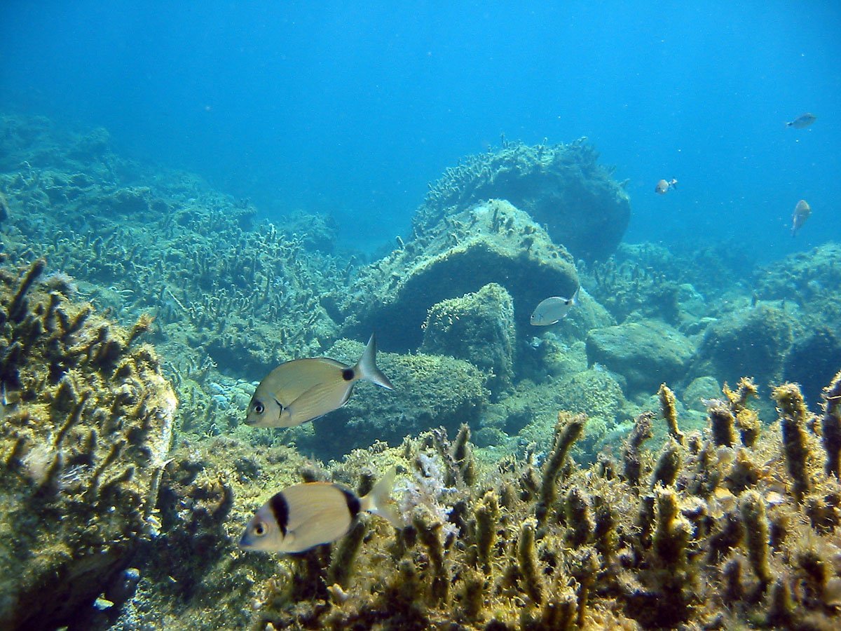 Эгейское море острова дракона