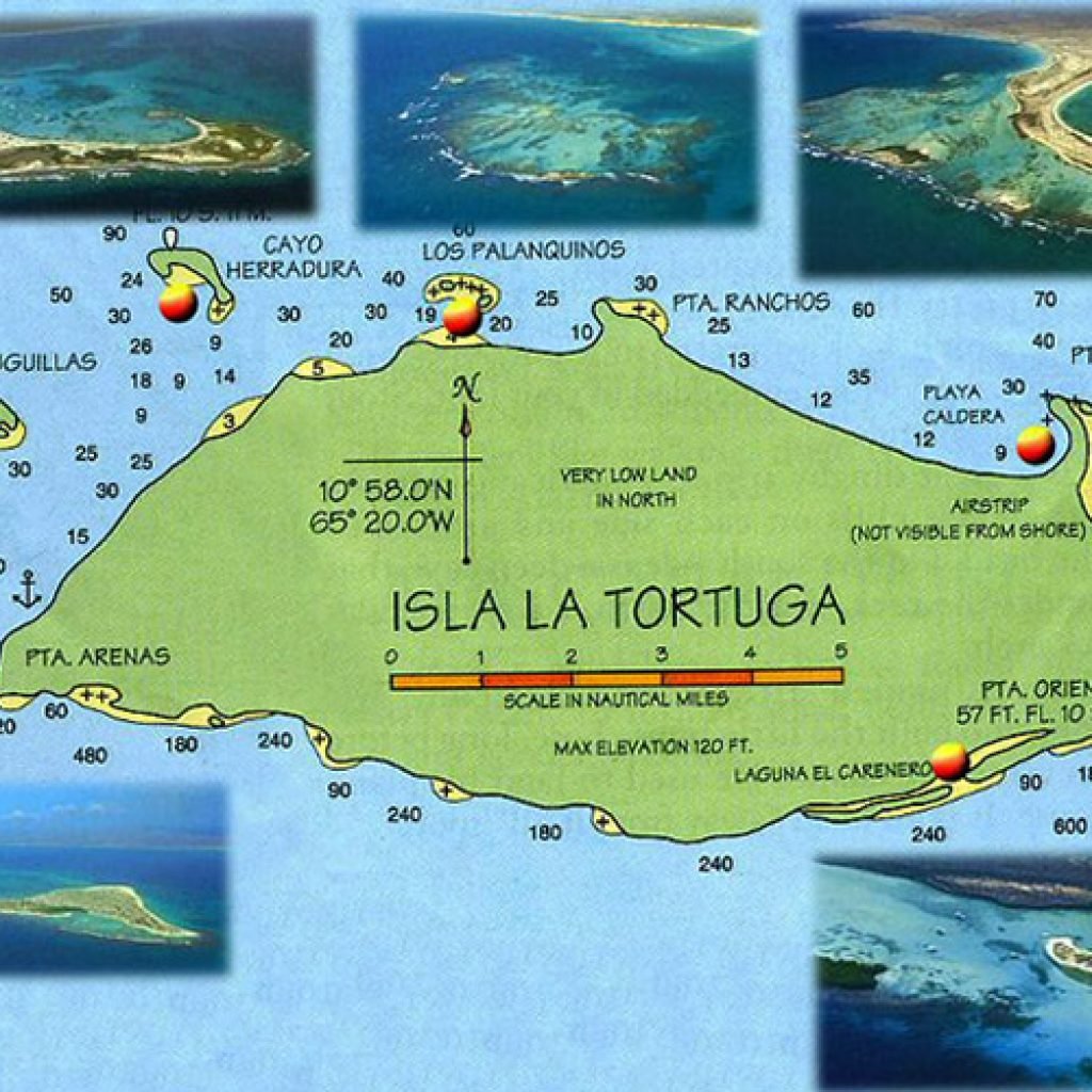Карибские острова тортуга. Остров Тортуга на карте. Тортуга остров в Карибском море на карте. Кайонская бухта Тортуга. Тортуга на карте Карибского моря.