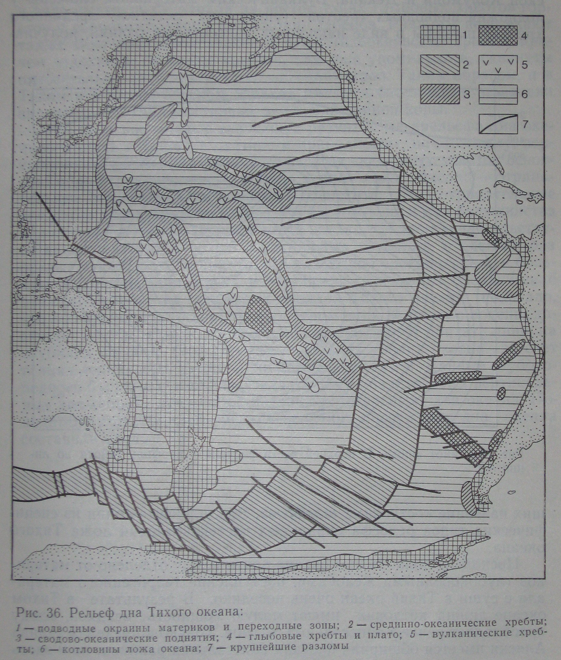 Рельеф тихого. Рельеф дна Тихого океана схема. Рельеф дна Тихого океана 7 класс география. Рельеф дна Тихого океана на контурной карте. Карта рельефа дна Тихого океана.