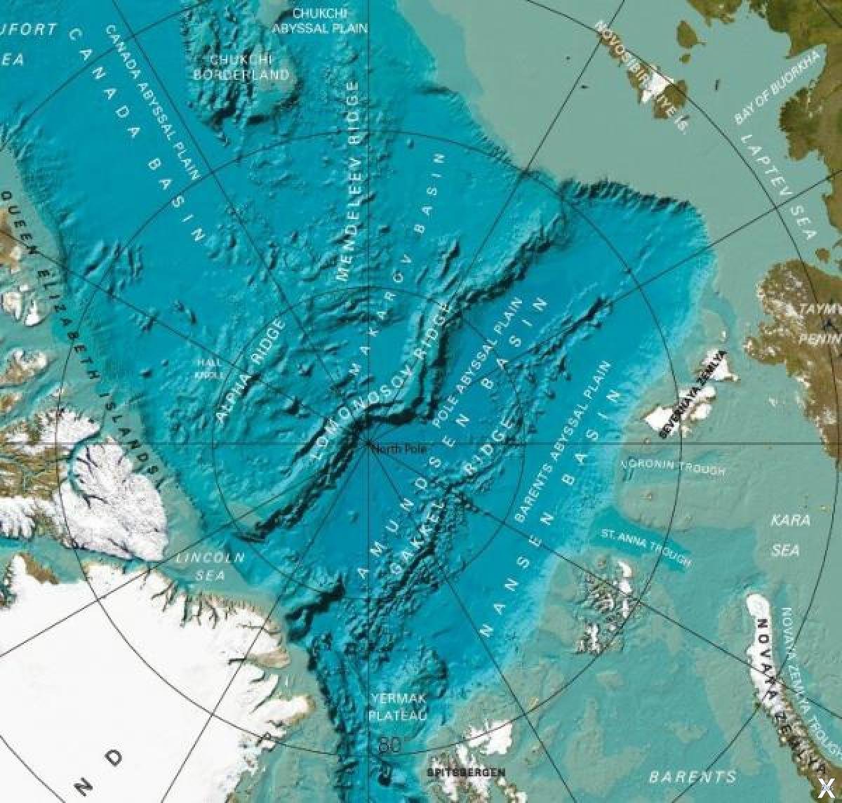Рельеф дна северного. Хребет Ломоносова в Северном Ледовитом океане. Арктика хребет Ломоносова. Хребет Ломоносова и Менделеева. Хребет Ломоносова в Северном Ледовитом океане на карте.
