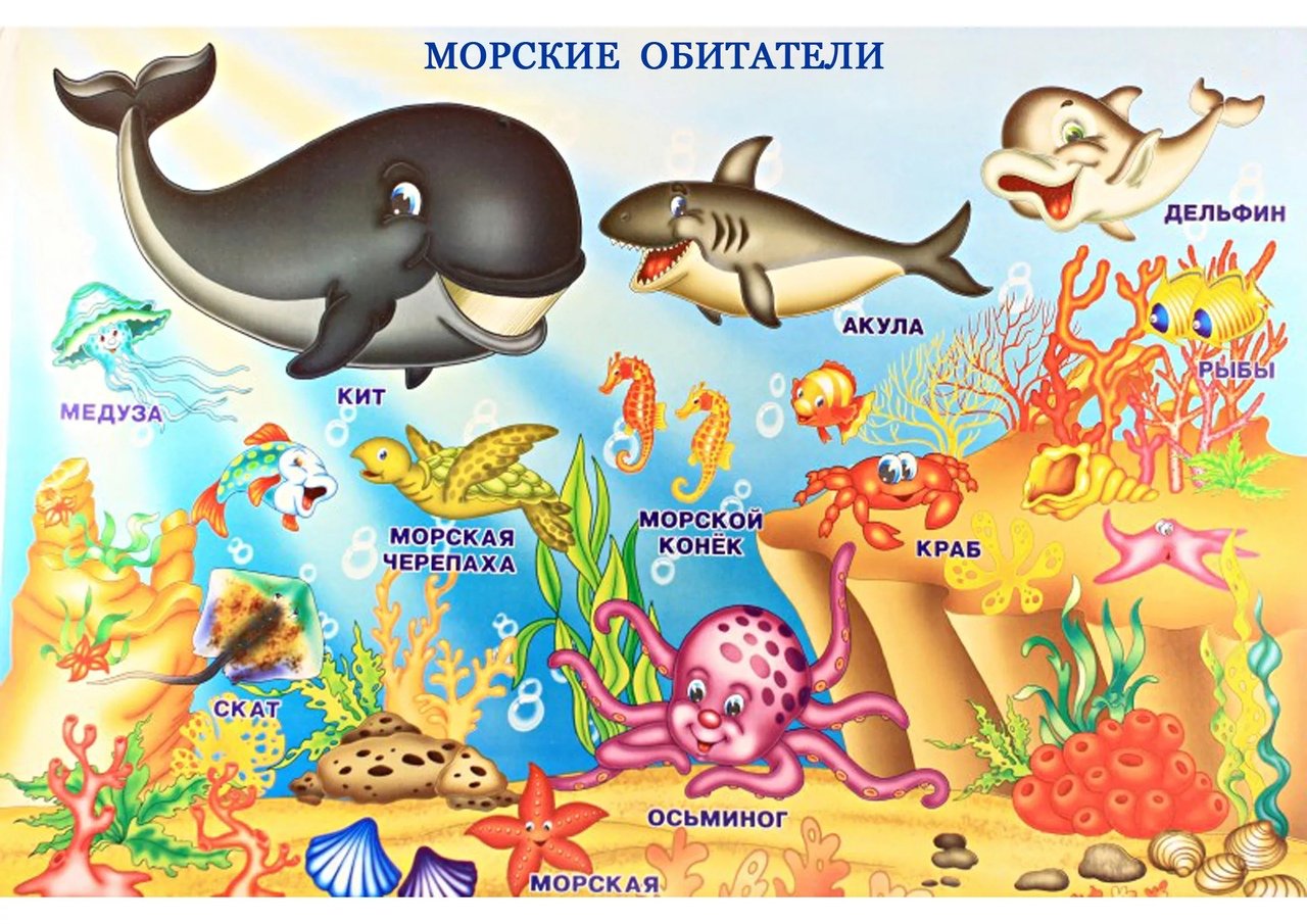 Царство животные рыбы. Морские обитатели для детей. Животные морей и океанов для детей. Обитатели моря для детей. Плакат морские обитатели для детей.