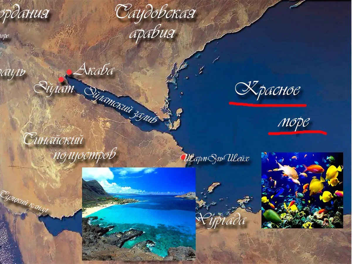 Какое самое глубокое море