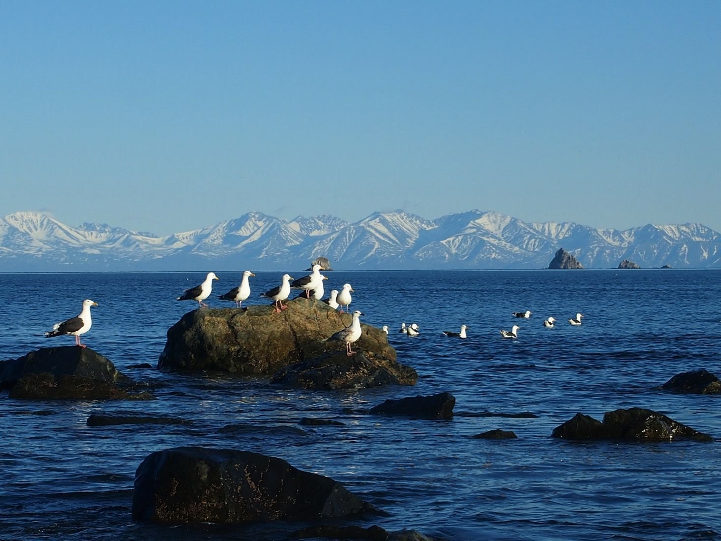 Берег Охотского моря панорама