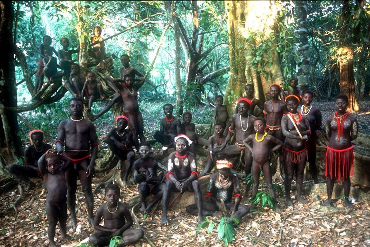 People live on islands. Андаманские острова племя джарава. Северный Сентинельский остров аборигены. Северный Сентинельский остров, Индия. Андаманские острова, Северный Сентинел.