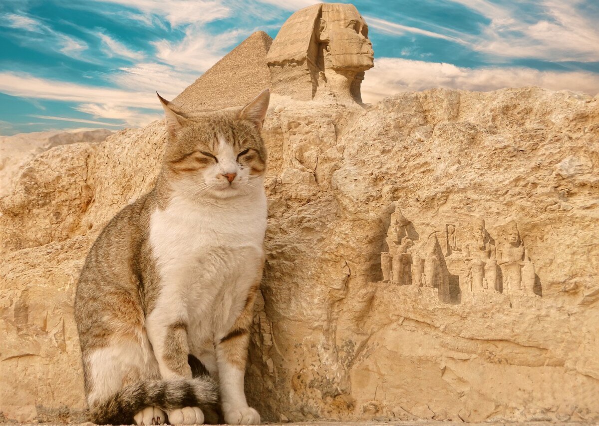 Кот в древнем Египте