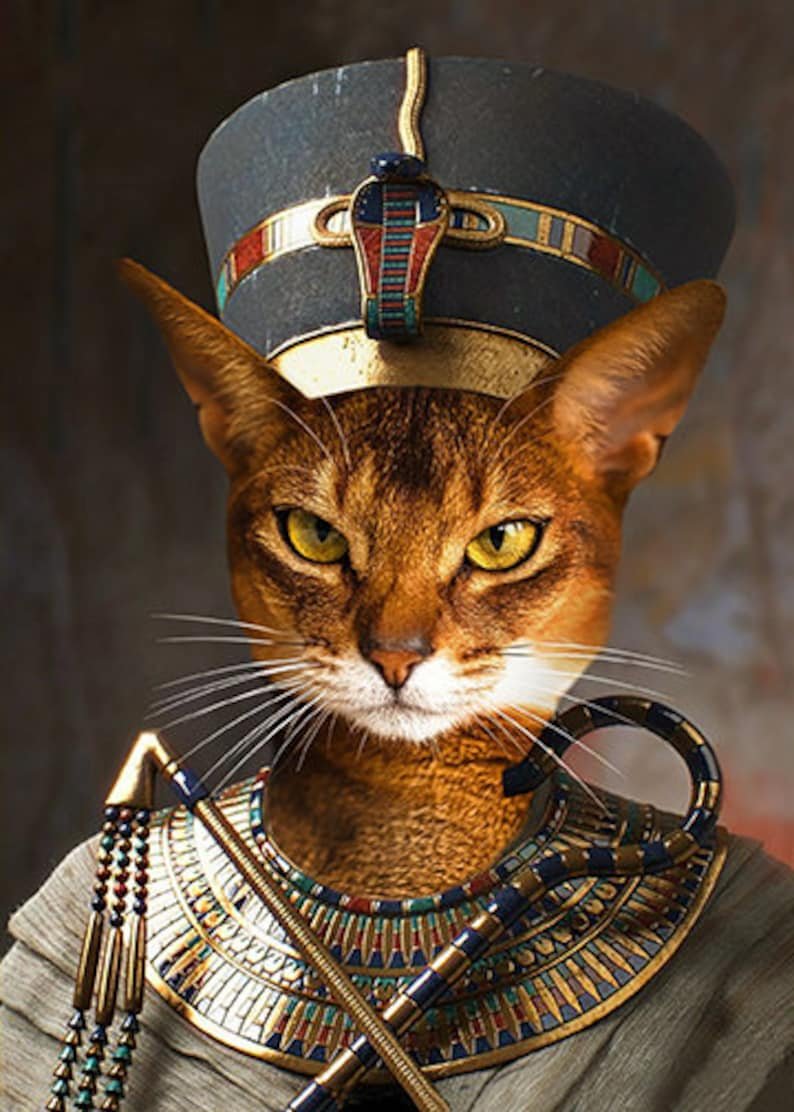 Египетская кошка Королева