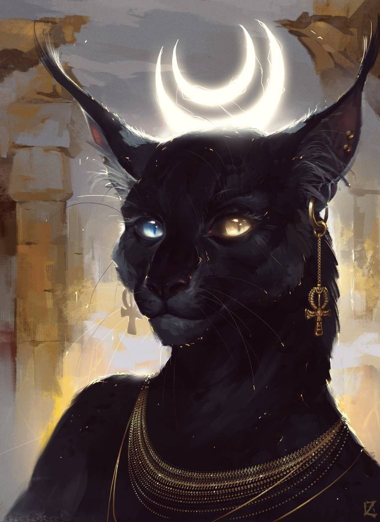 Кот на пляже