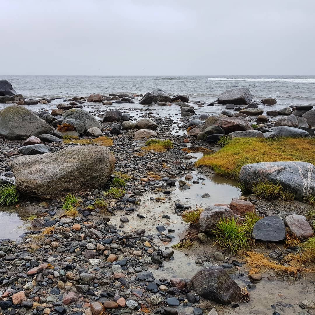 Белое море 18. Архангельск берег белого моря. Архангельск пляжи белого моря. Белое море пляж Мурманская область. Уоншунский берег белого моря.