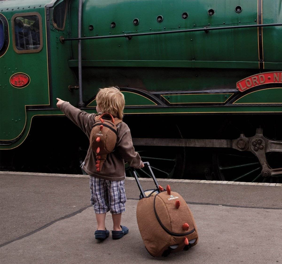 Путешествие с детьми на поезде по россии