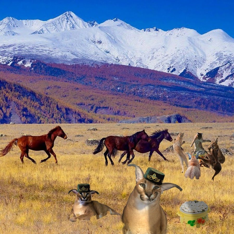 Монголия путешествие