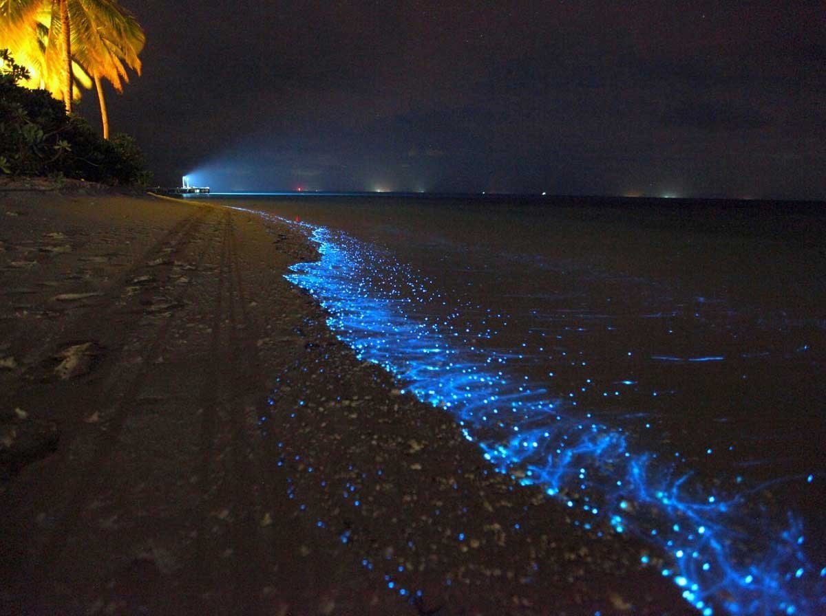 Светящийся пляж в тайланде