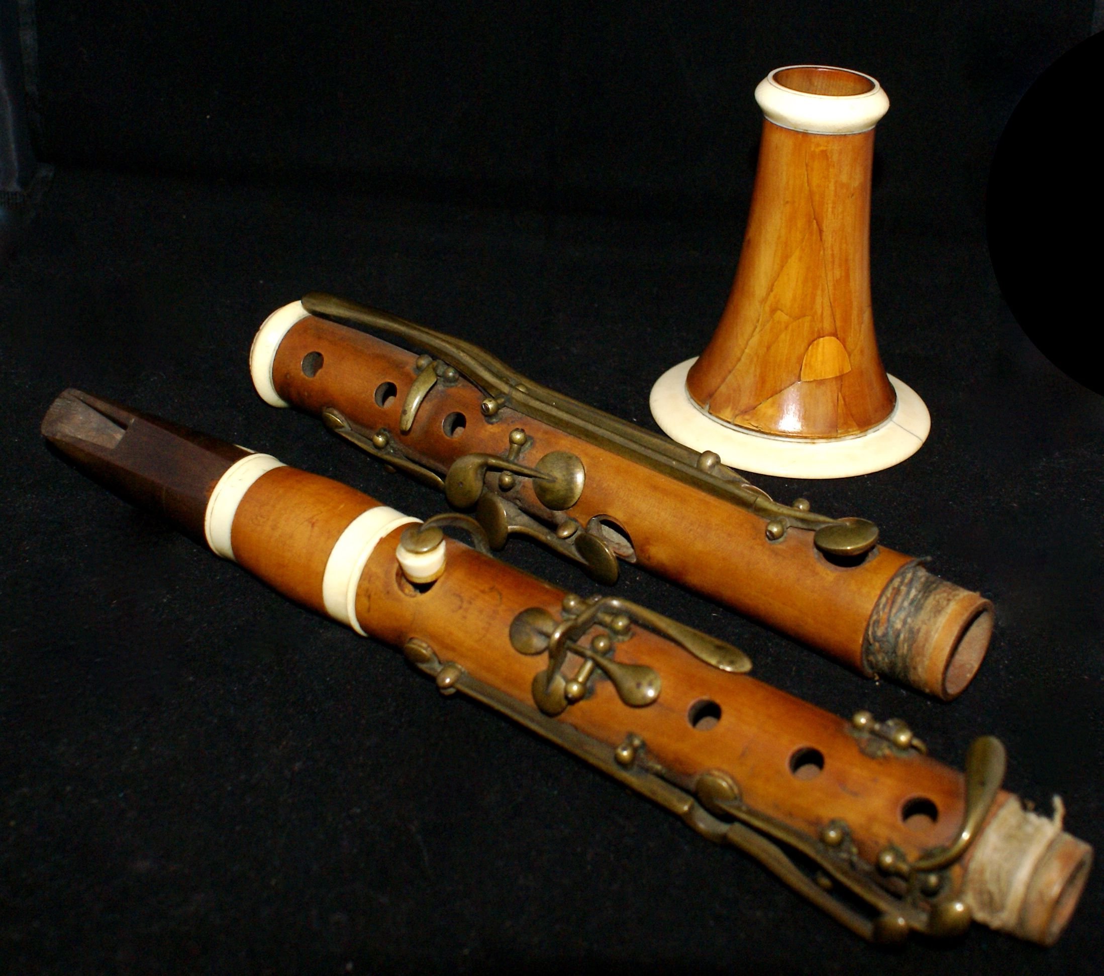 Musical instruments. Корнет музыкальный инструмент 19 века. Труба 19 века музыкальный инструмент. Щипковые музыкальные инструменты Европа 19 век. Старинные духовые инструменты.