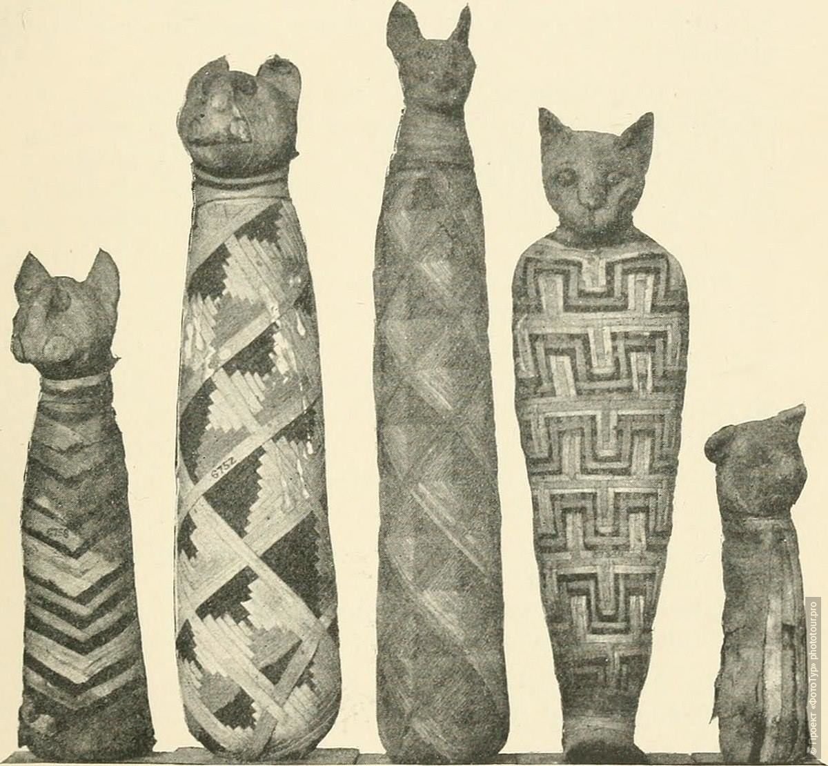 Культ кошки в Египте