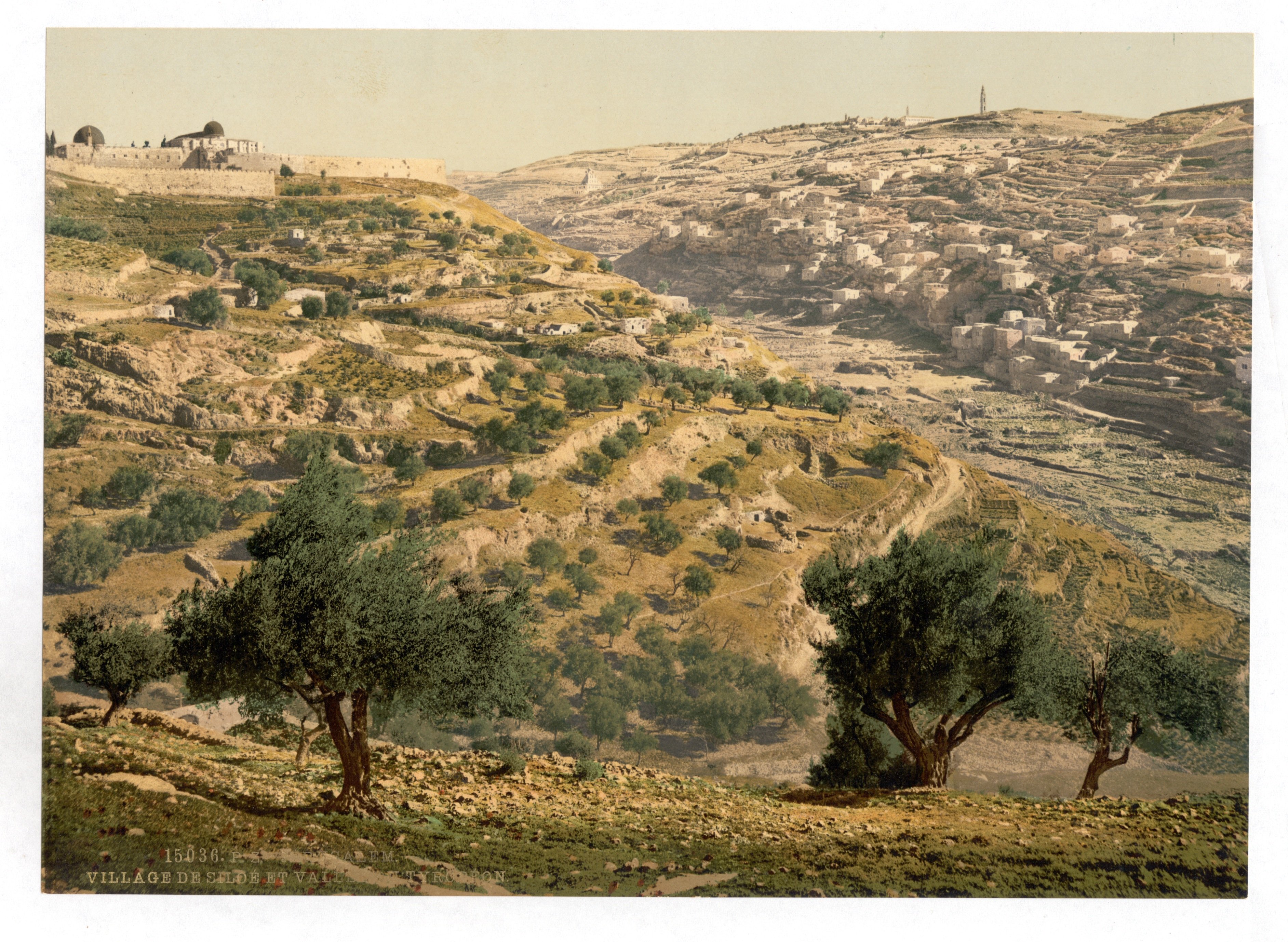 Как выглядит древняя палестина. Елеонская гора в Иерусалиме. Кедронская Долина в Иерусалиме. Долина Кедрон Палестина. Древняя Палестина Иерусалим.