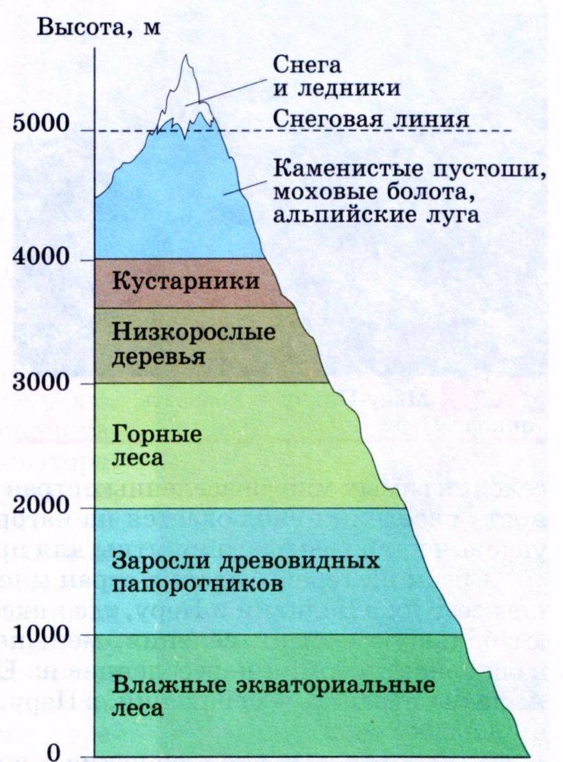 Почему природная зональность дальнего востока сильно. Высотная поясность уральских гор. Природные зоны ВЫСОТНОЙ поясности. Высотная поясность в горах Алтая. Высотная поясность географический пояс.