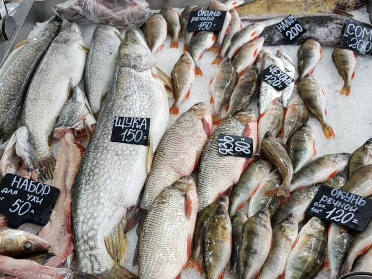 Щука купить цена. Свежая рыба на рынке. Рыба на рынке. Пресноводная рыба на рынке. Магазин свежей рыбы.