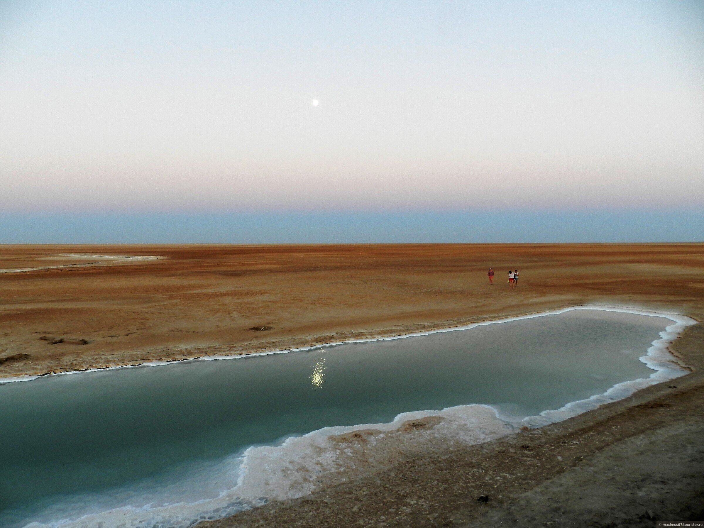 Озеро эль. Шотт-Эль-Джерид Тунис. Озеро Шотт-Эль-Джерид. Соленый озеро Эль Джерид. Шотт-Эль-Гарса озера Алжира.