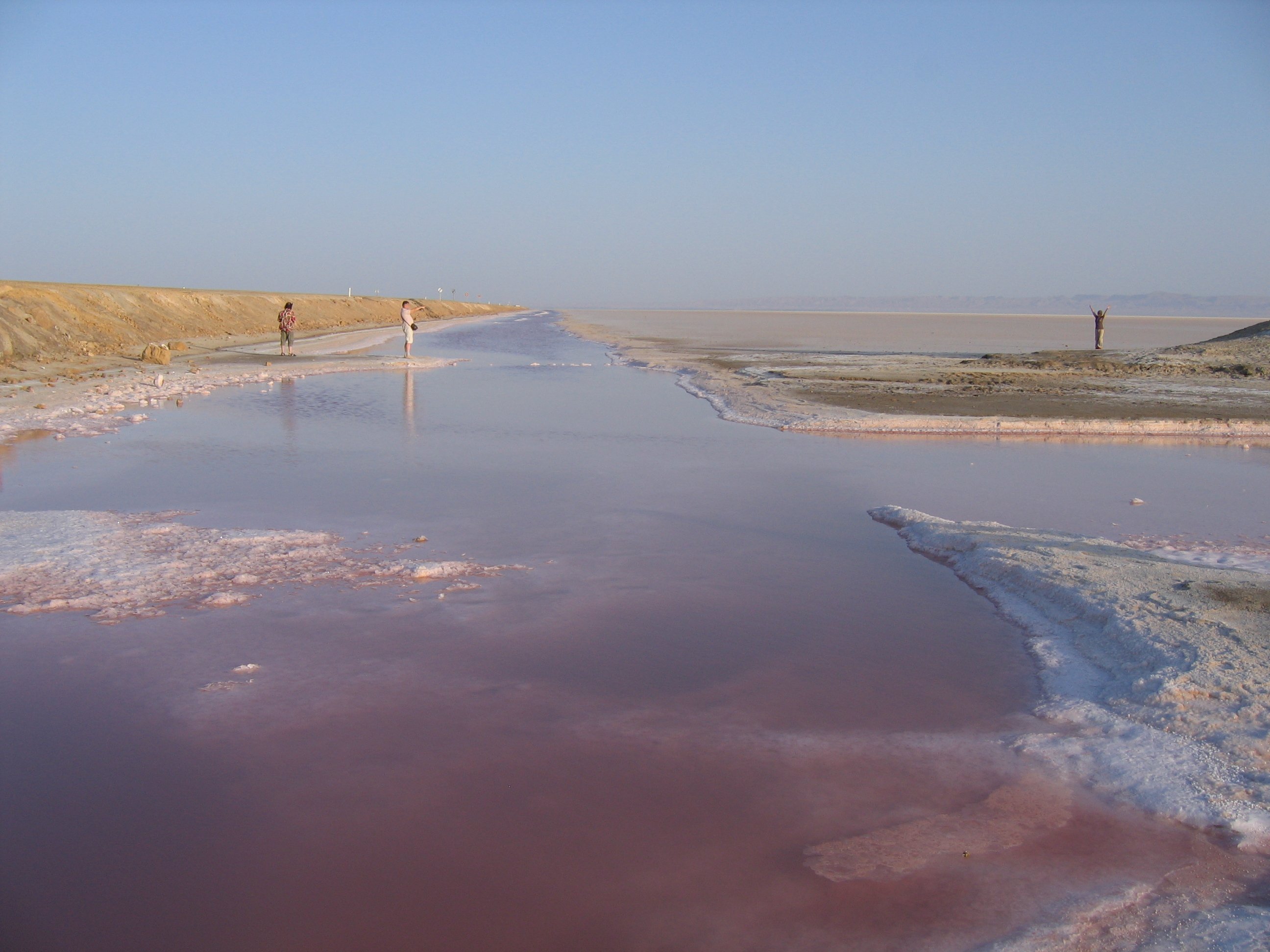 Озеро эль. Озеро Шотт-Эль-Джерид Тунис. Шотт Мельгир. Озеро Шотт Мельгир в Алжире. Соленое озеро Шотт – Мельгир.