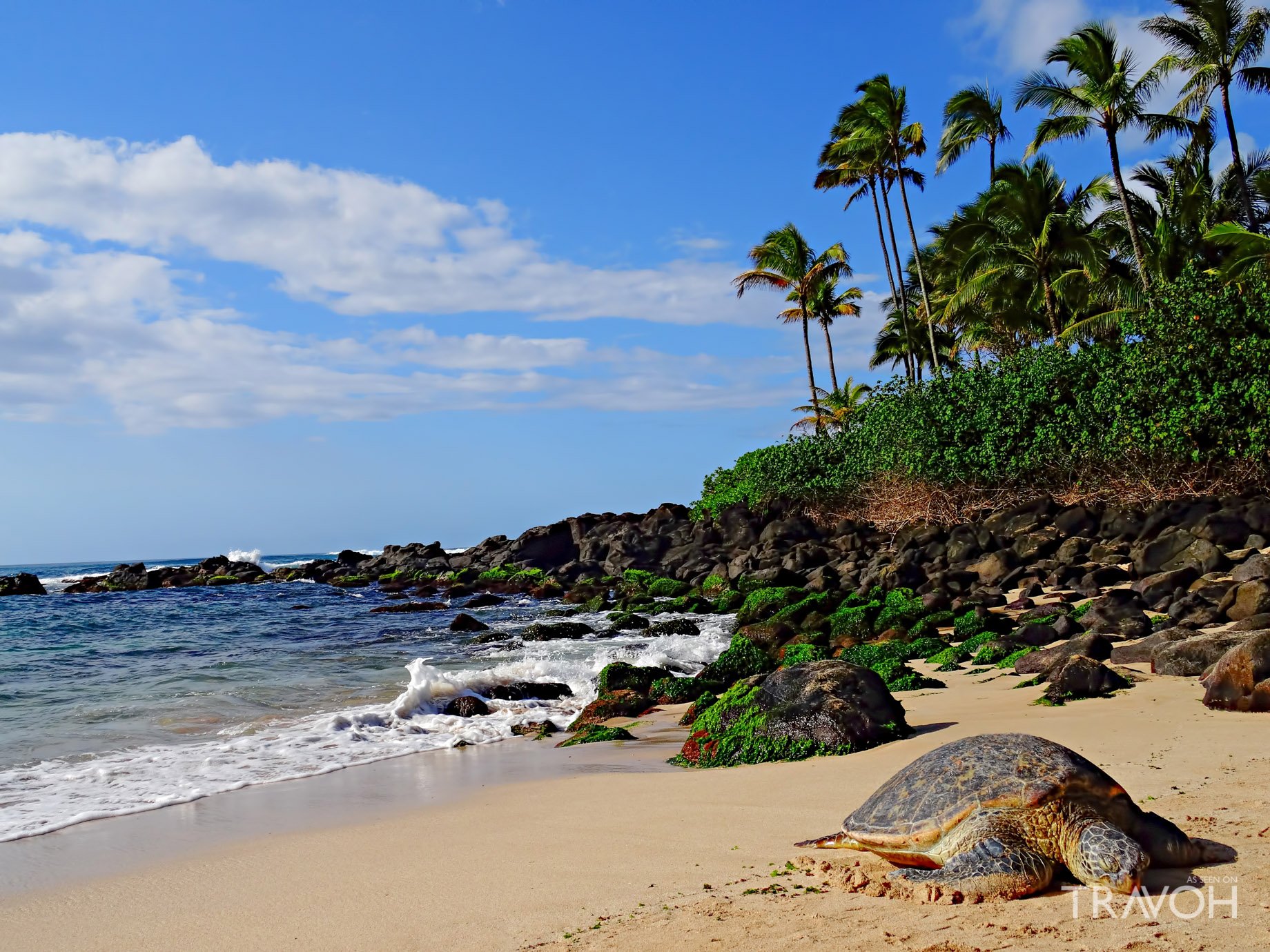 Унаватуна пляж с черепахами. Хиккадува пляж. Черепаший пляж Шри Ланка. Хиккадува Шри Ланка. Хиккадува Шри Ланка Черепаший пляж.