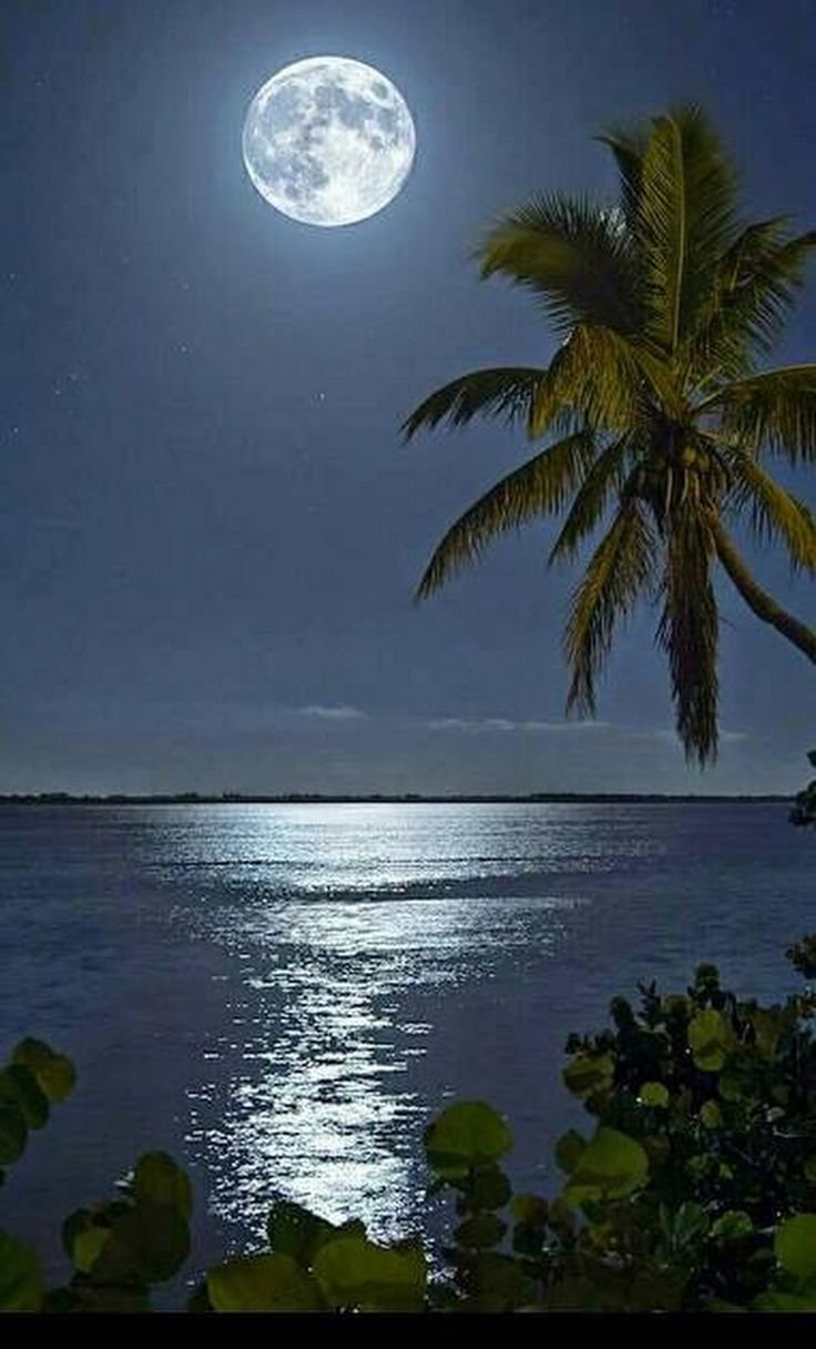 Луна На Шри Ланке