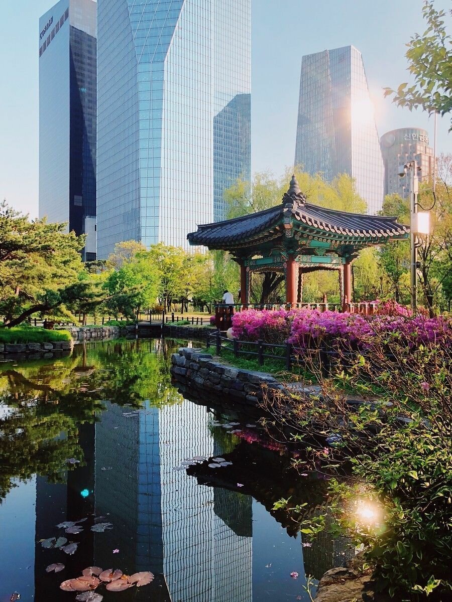 Парк Yeouido в Сеуле