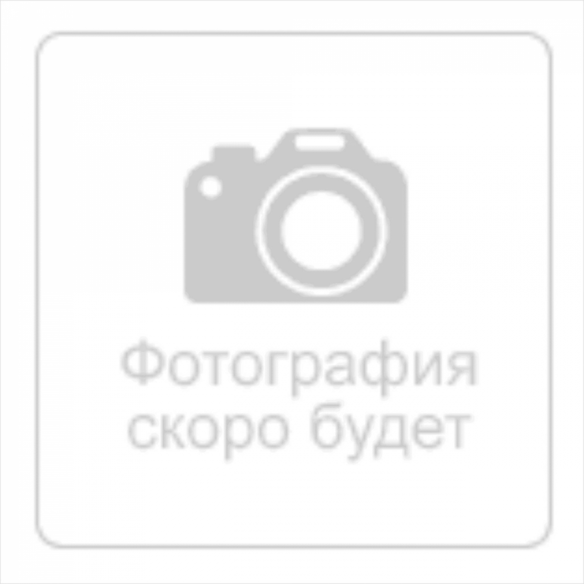 Скульптура Ижик талисман Ижевска