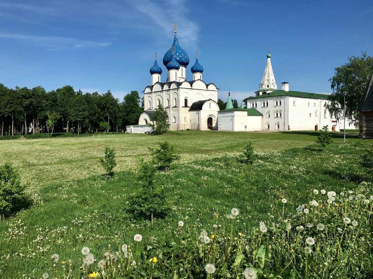 Музей деревянного зодчества в Суздале фото