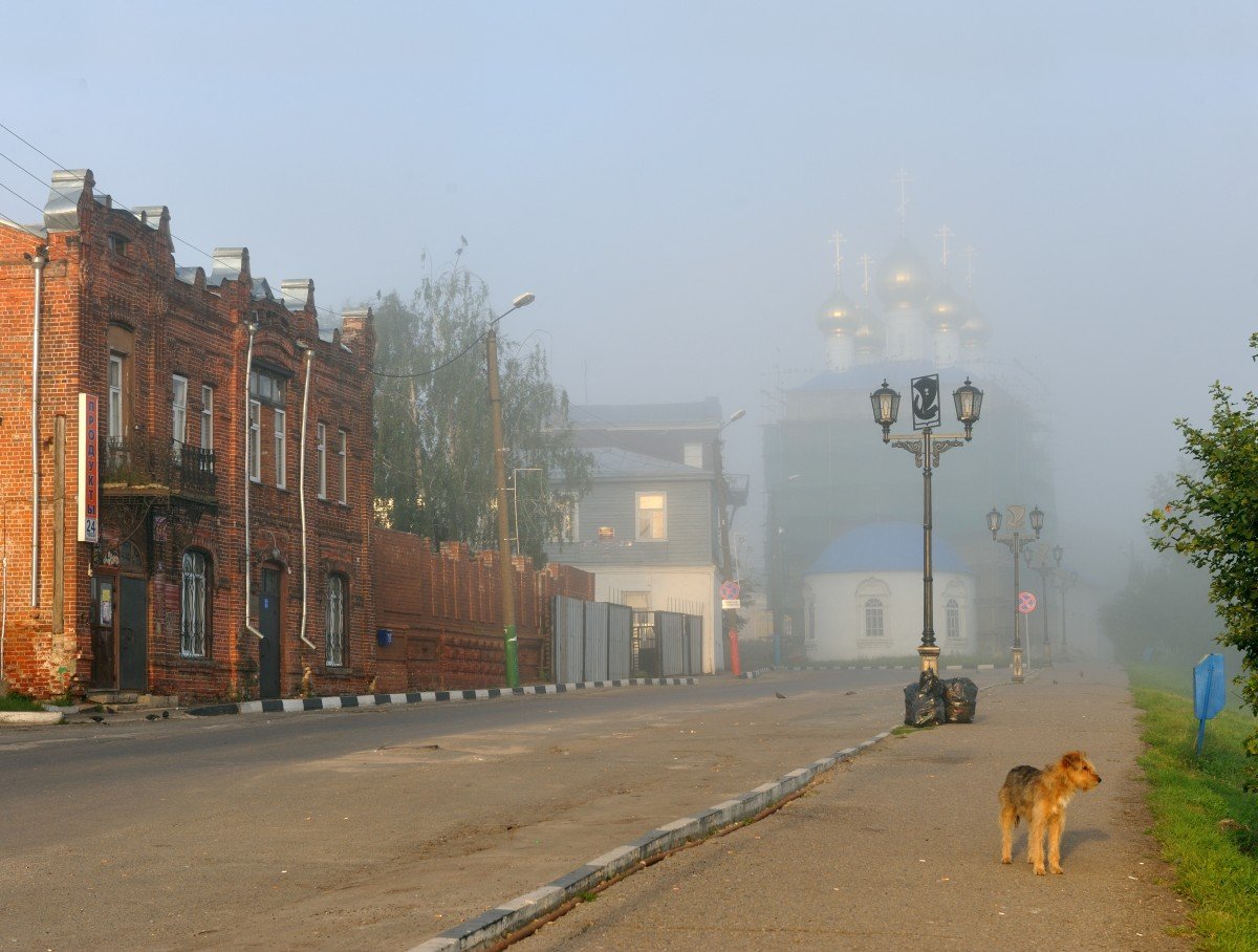 достопримечательности города павлово