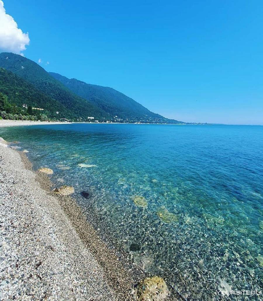 Море Абхазия Пицунда