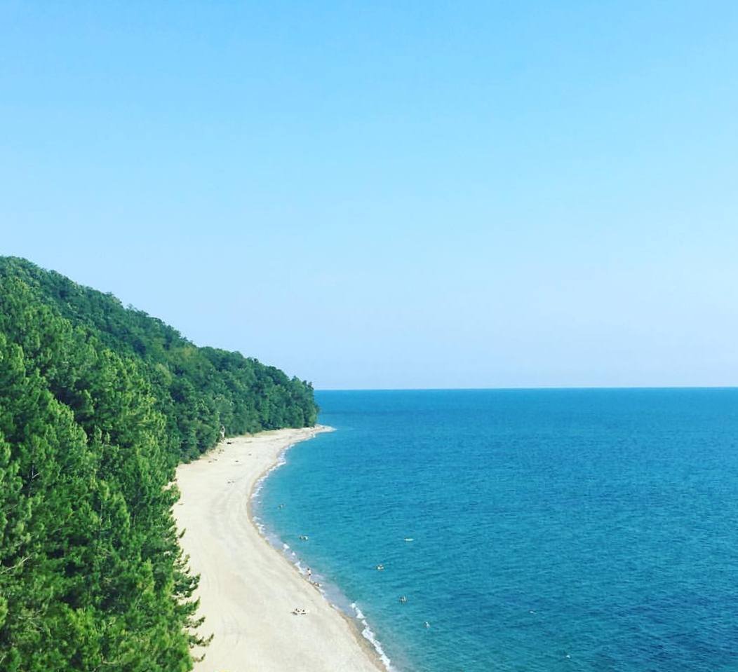 Курорт Пицунда Абхазия