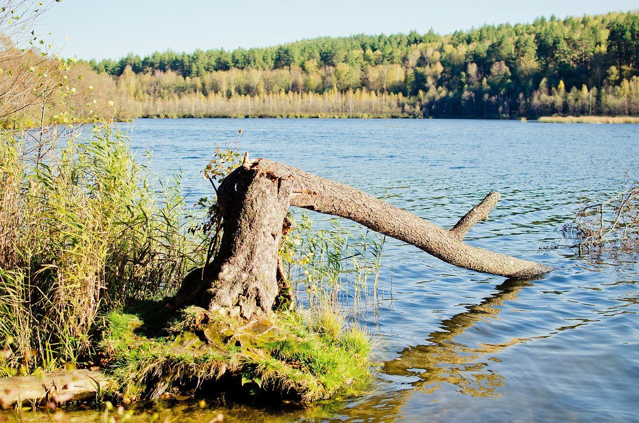 Озеро в озерах ульяновск