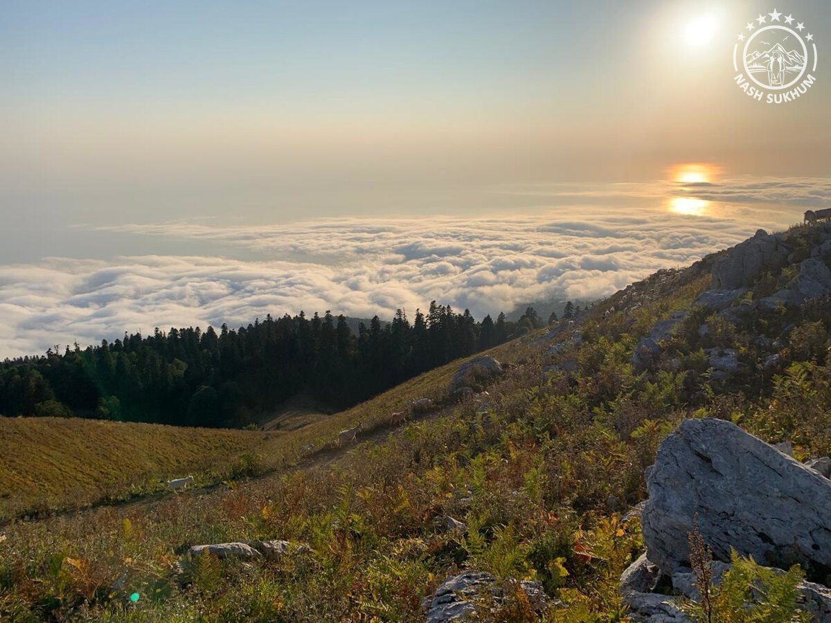 Гора Мамзышха Абхазия Альпийские Луга