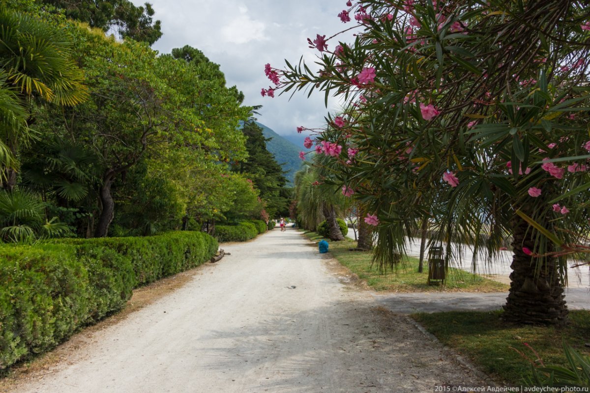 Панорама Гагры Абхазия