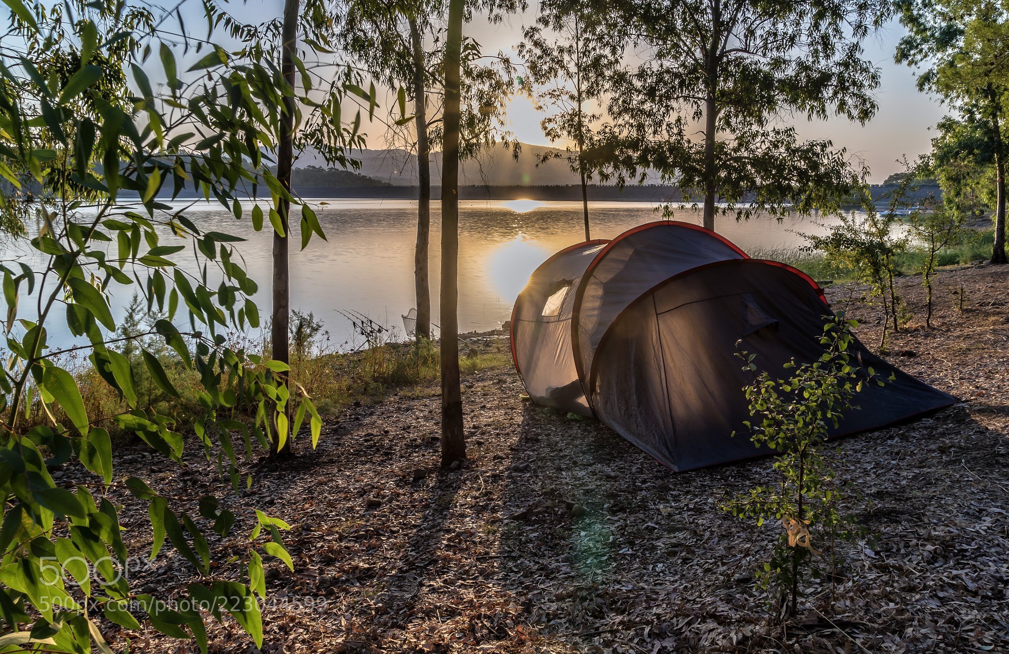 Only camping. Кемпинг серебряное озеро на Селигере. Селигер кемпинг палаточный городок. Кемпинг «ААК-теленгит». Увильды кемпинг с палатками.