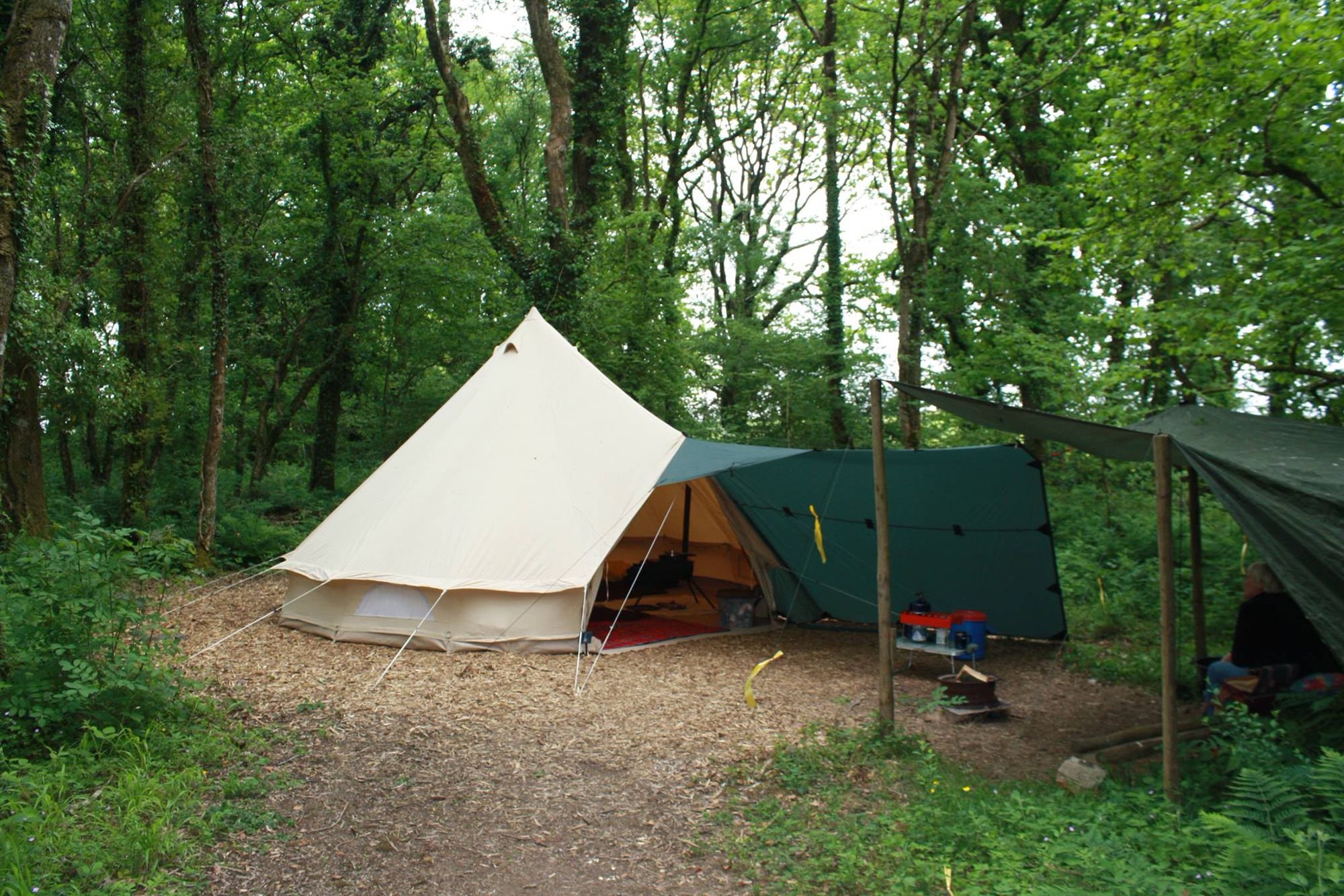 Палаточный лагерь палатки. Палаточный лагерь Camp 2050. Палаточный лагерь на Дукке. Палатки для палаточного лагеря. Палатка в лесу.