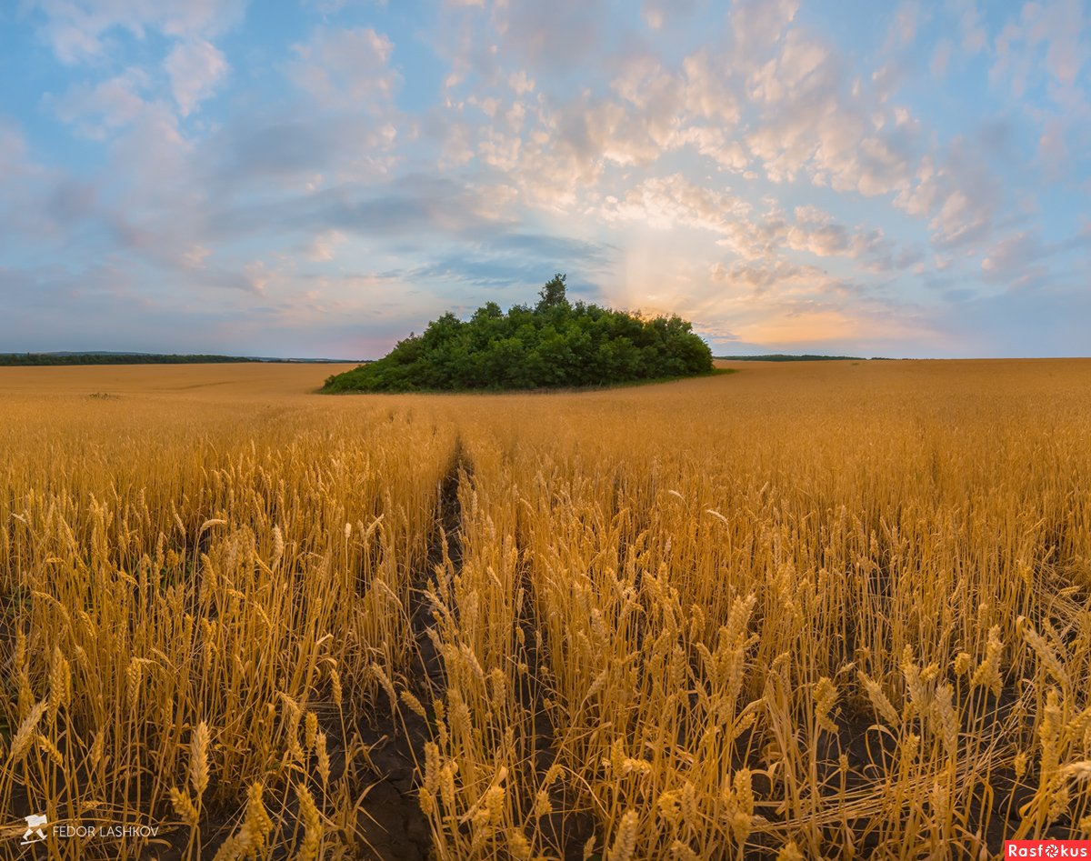 Стадион Краснодар Арена