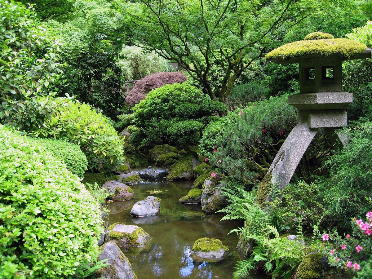 Японский сад в парке краснодар