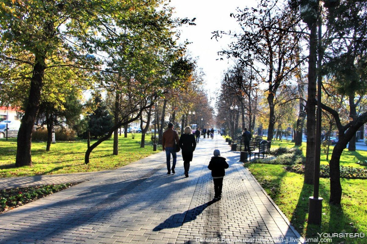 Улицы Краснодара ночью