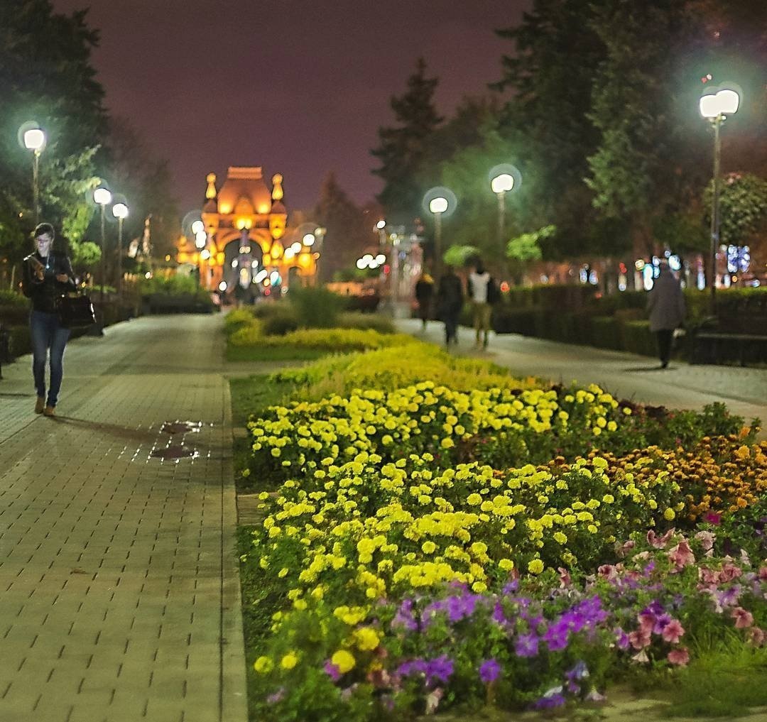 Центральная улица Краснодара