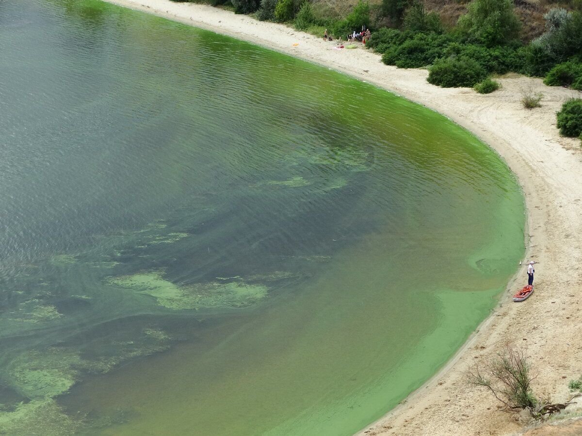 Отдых на краснодарском водохранилище. Краснодар водохранилище пляж. Зеленое море. Море Каспийское зеленое. Зеленое море в Сочи.