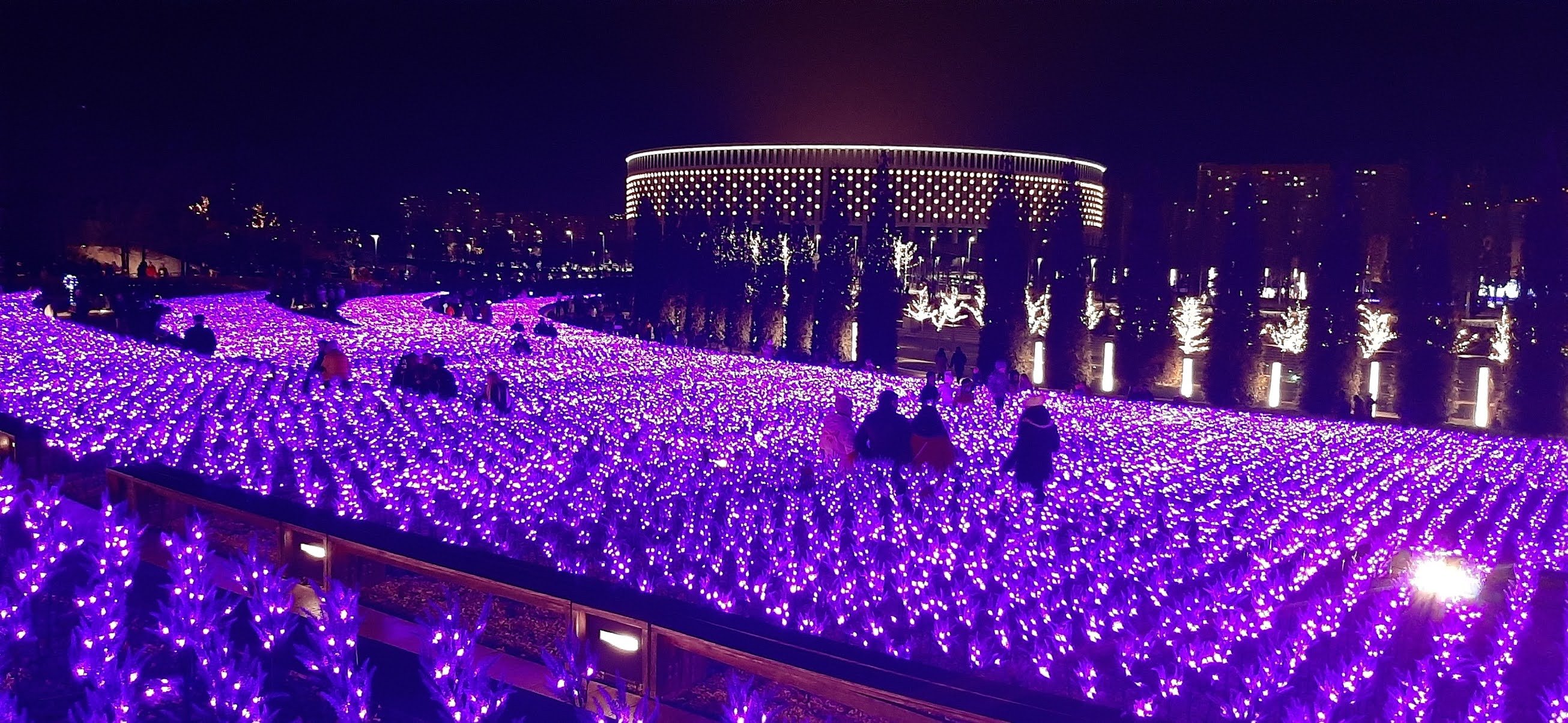 Парк краснодар фото 2023. Парк Галицкого 2023. Вечерний парк Галицкого. Парк Галицкого шалфей светящийся. Парк Галицкого вечером.