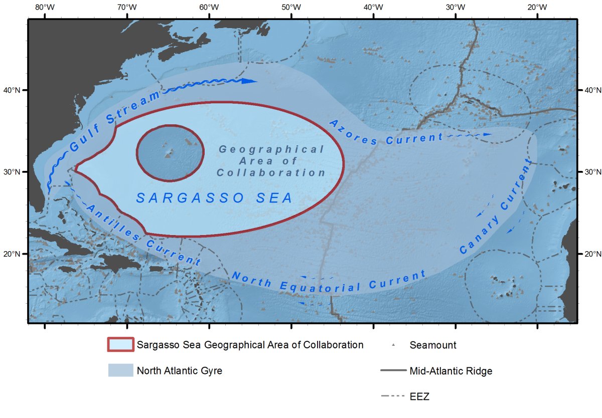 Саргассово море и Гольфстрим
