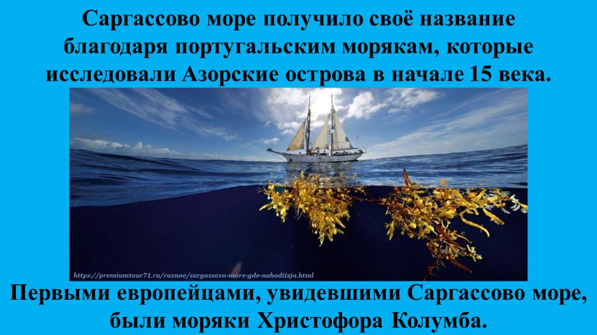 Саргассовр море на Катре